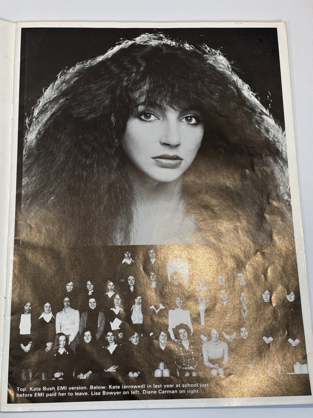 RARE "KATE BUSH: BIOGRAPHY" Fred & Judy Vermorel Paperback PRINCESS OF SUBURBIA