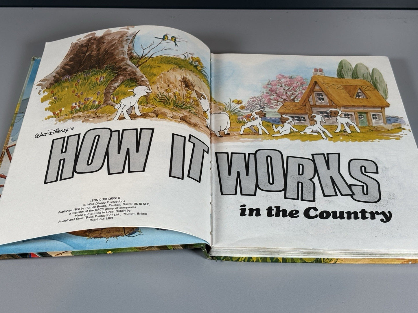 Walt Disney's How it Works in the Country Book 1982 Educational