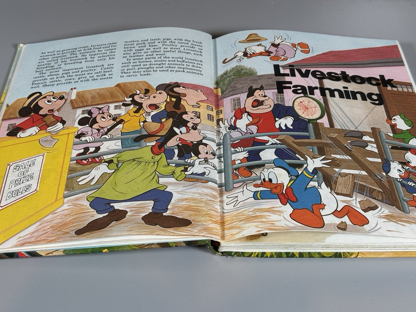 Walt Disney's How it Works in the Country Book 1982 Educational