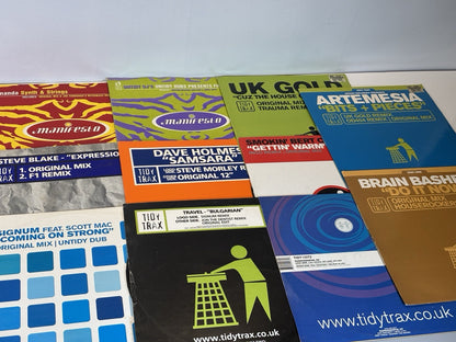 Tidy Bundle 11x 12" Vinyls Tidy Trax