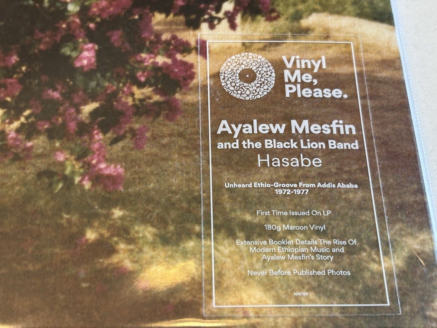 AYALEW MESFIN Hasabe My Worries LP VMP Mulatu Astake Mahmoud Ahmed Hailu Mergia