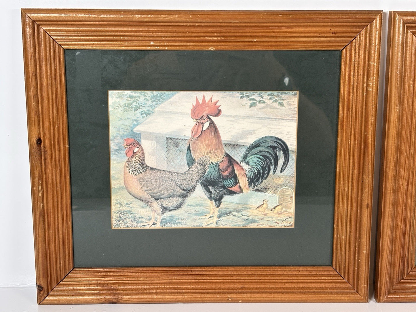 Vintage Rooster Cockerel HenChicken Prints Wooden Framed Art Set Of 2