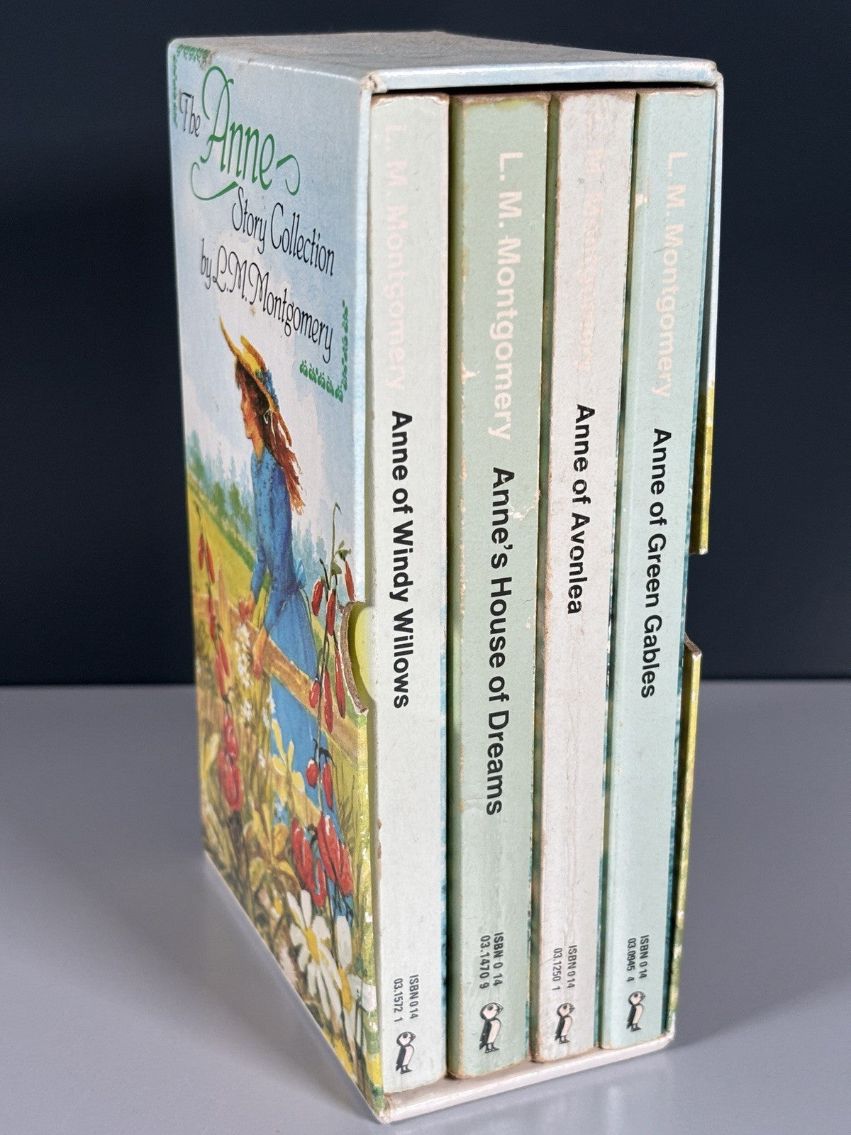 Rare 4 Books Box Set The Anne Story Collection Anne Of Green Gables