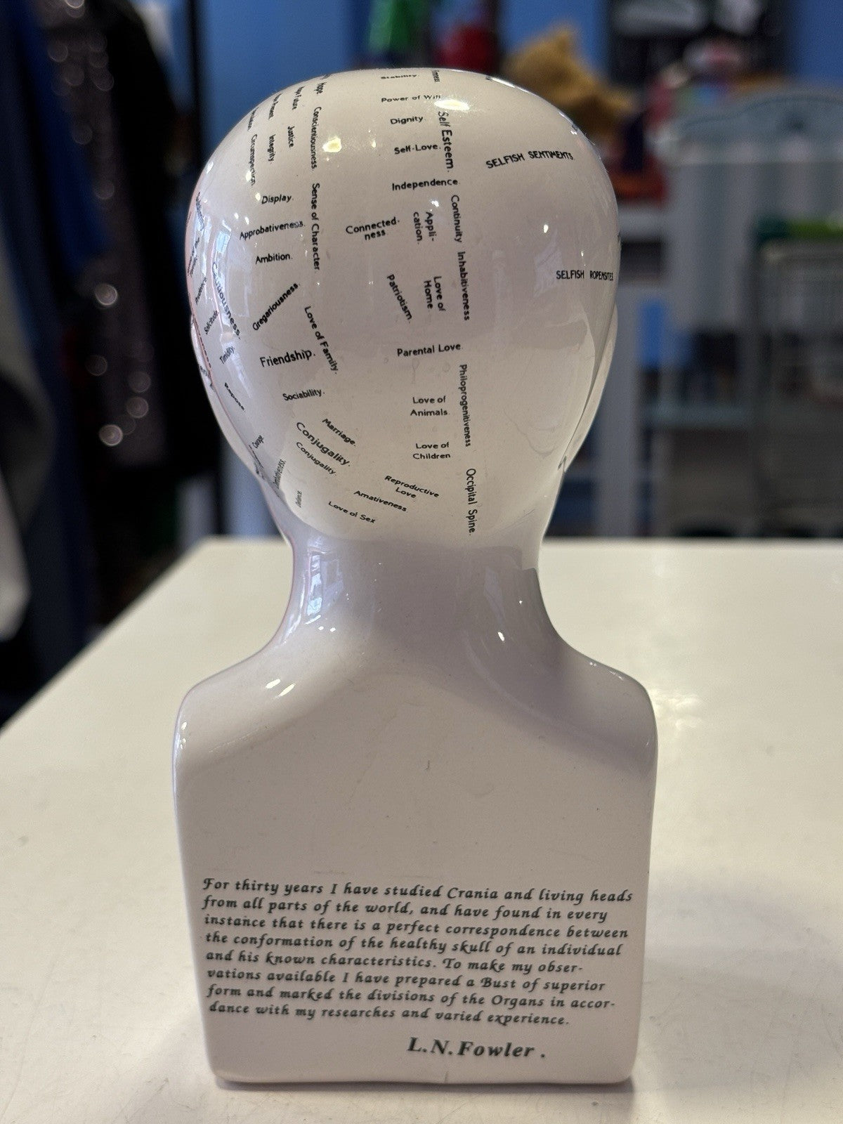 Phrenology Bust L.N. Fowler Scientific Psychology 16cm Ceramic Head Statue