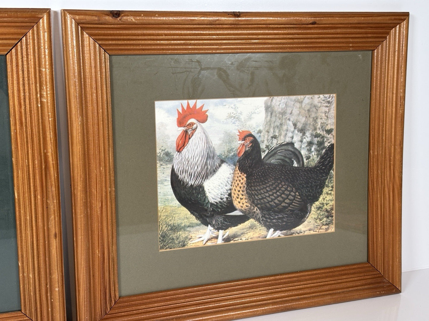 Vintage Rooster Cockerel HenChicken Prints Wooden Framed Art Set Of 2