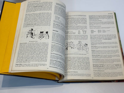 Advanced D&D Dungeon Masters Guide By Gary Gygax 1979