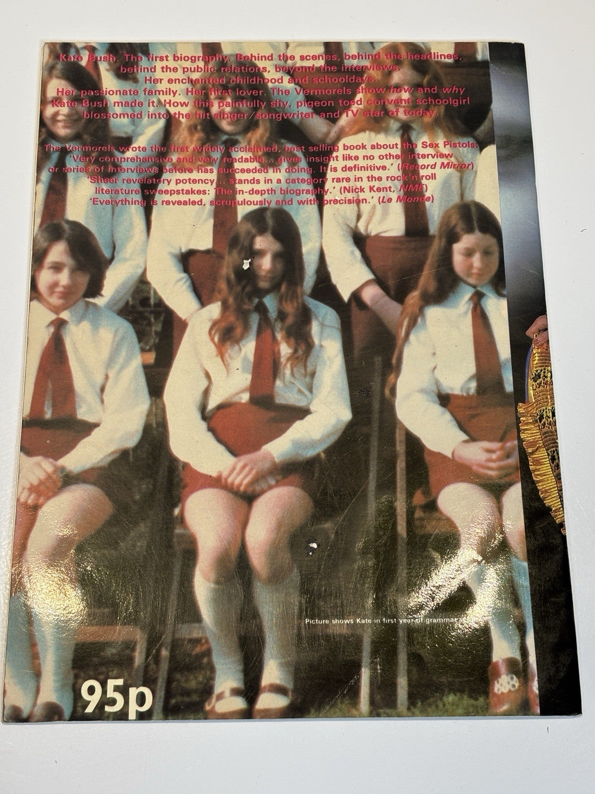 RARE "KATE BUSH: BIOGRAPHY" Fred & Judy Vermorel Paperback PRINCESS OF SUBURBIA
