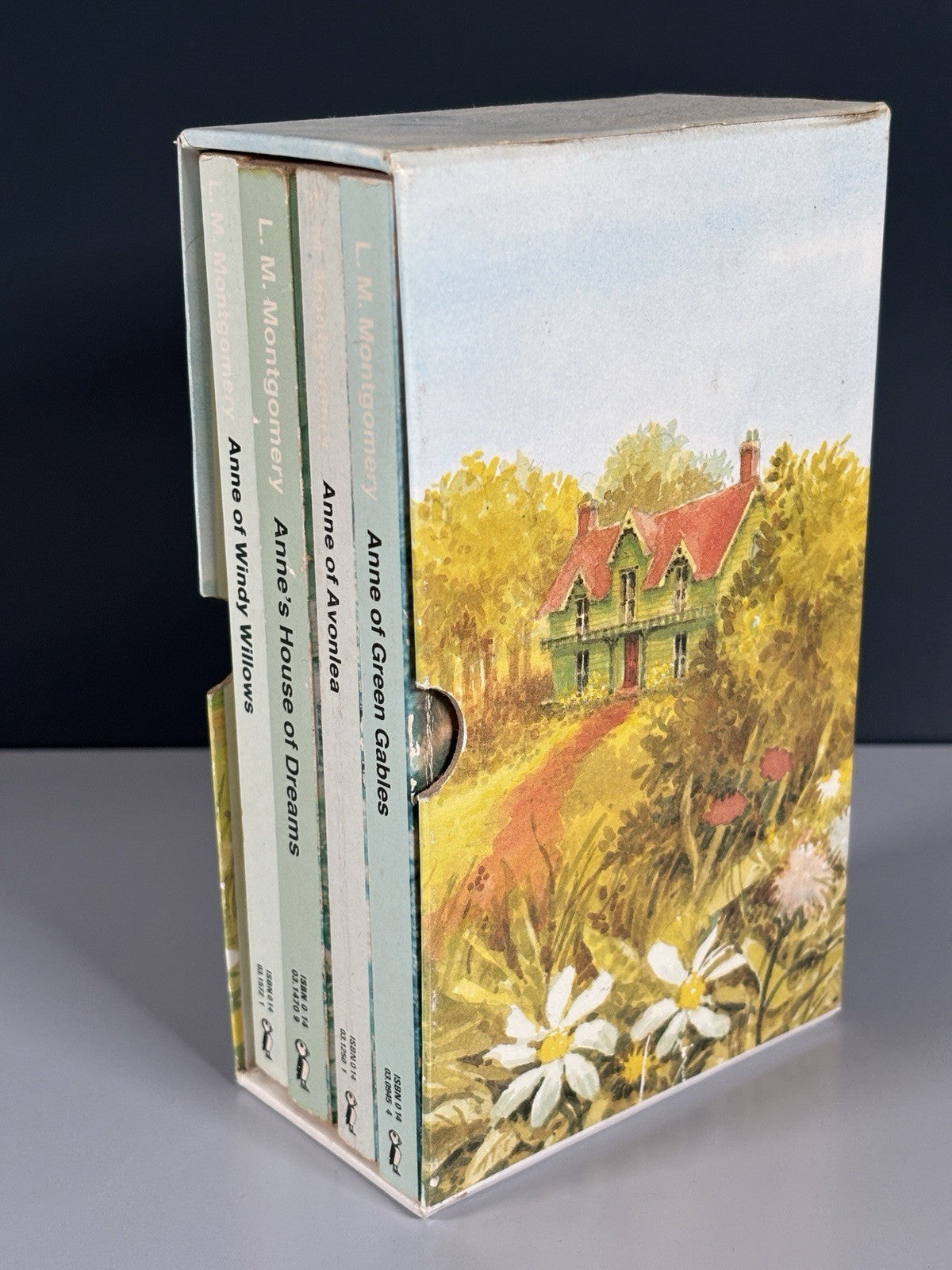Rare 4 Books Box Set The Anne Story Collection Anne Of Green Gables