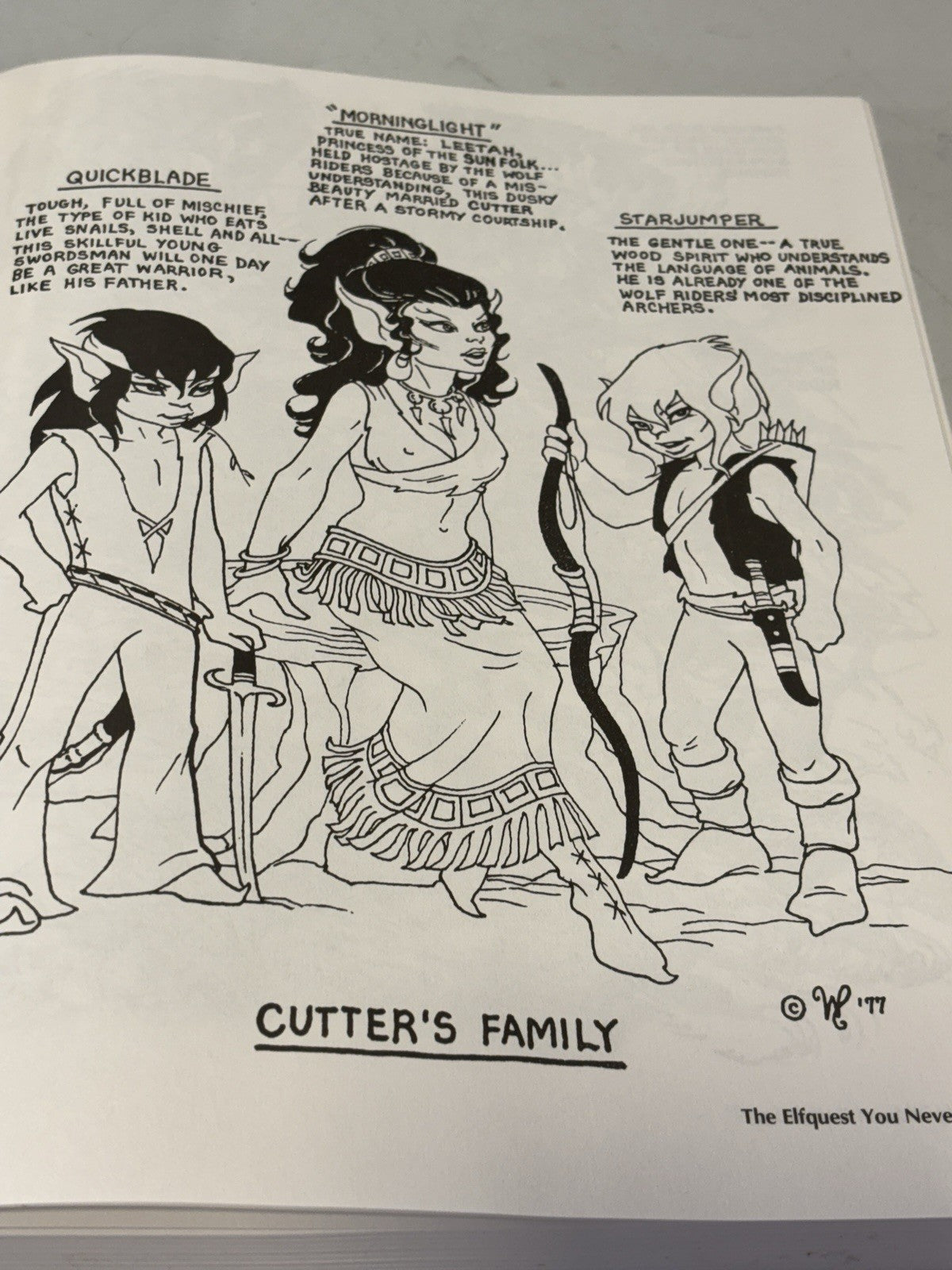 The Big Elfquest Gatherum Hardcover. Father Tree Press 1994, Richard Pini,