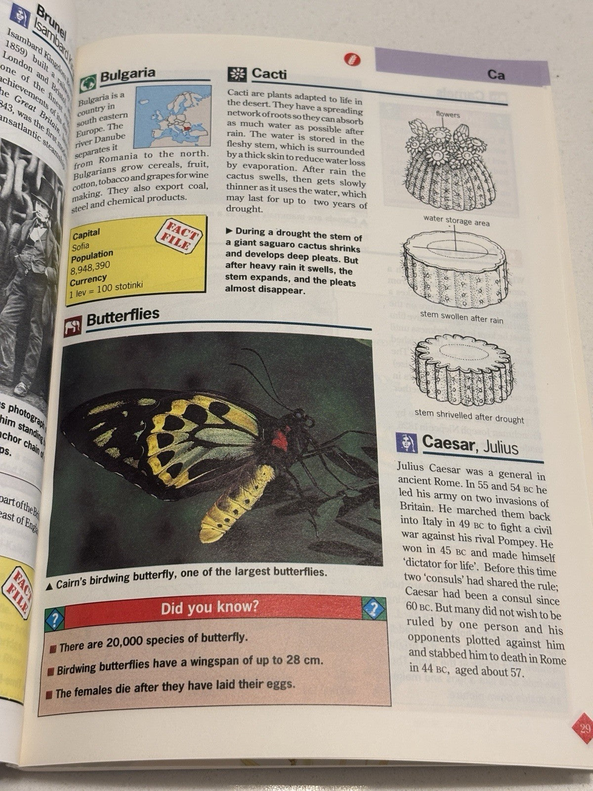 Retro 1993 The Weetabix Oxford Illustrated Book Of Facts Great Cond Vintage