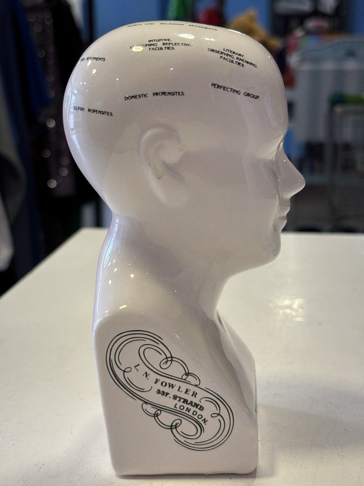 Phrenology Bust L.N. Fowler Scientific Psychology 16cm Ceramic Head Statue