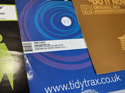 Tidy Bundle 11x 12" Vinyls Tidy Trax
