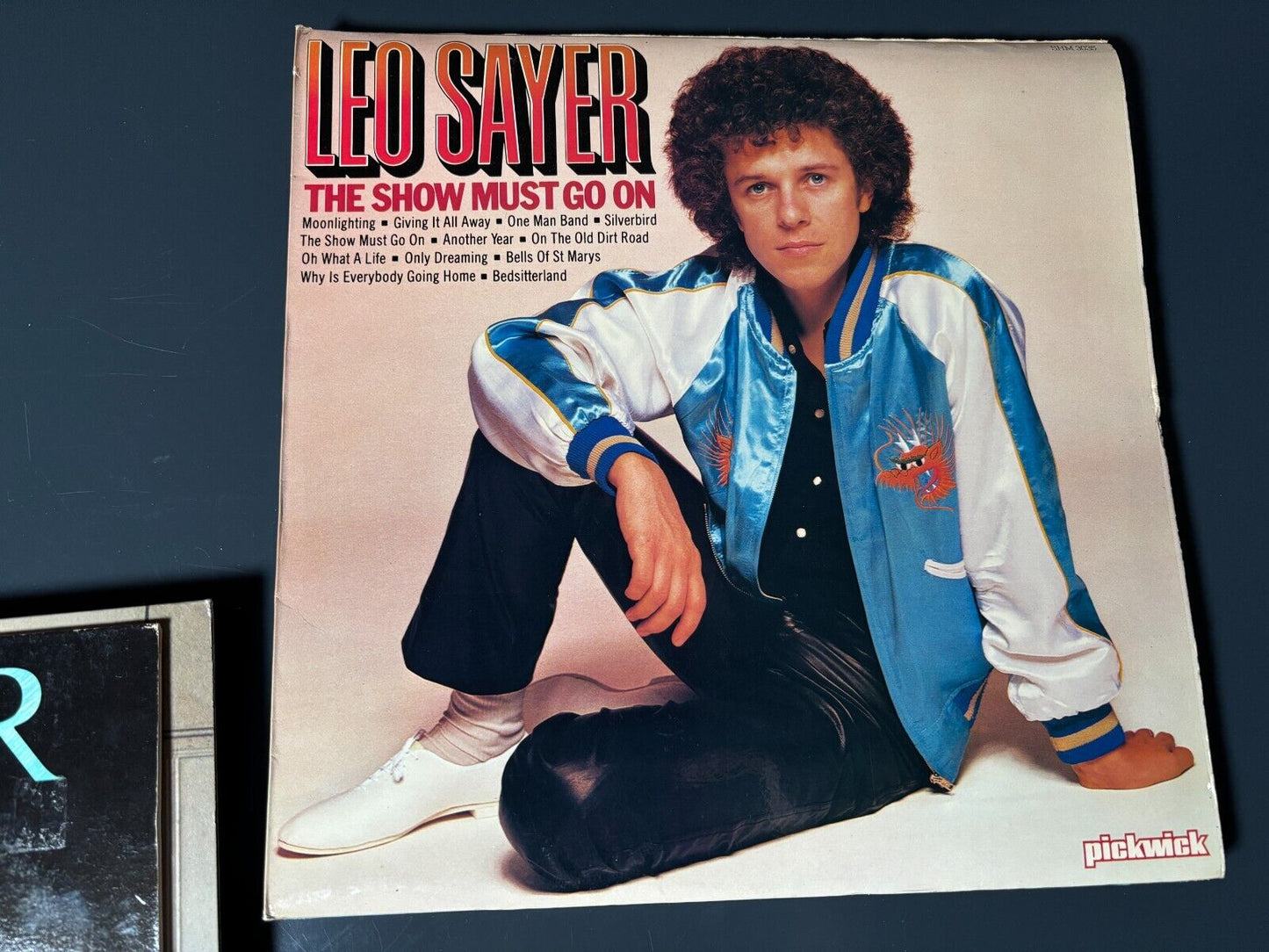 11x LEO SAYER Vinyl LP Bundle Record Album LP